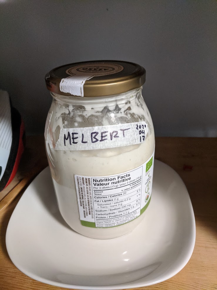 Melbert started out in an olive jar, on April 17, 2020.