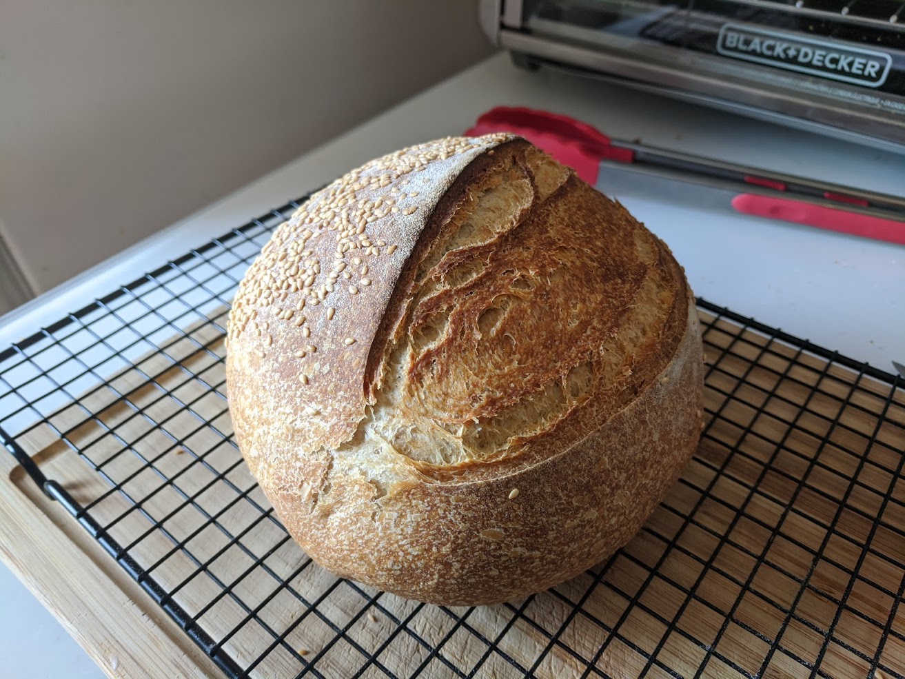 March 3, 2021. I also use a recipe that calls for bread flour and olive oil, this is usually how it turns out. Very round, very small but uniformly distributed air pockets. Has a savoury taste, especially if you let it rest in the fridge for a day or two.